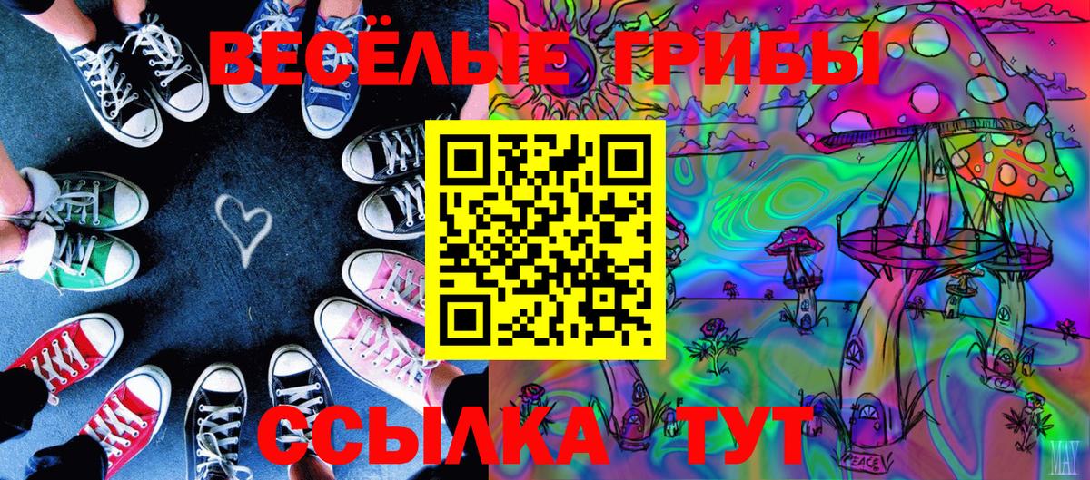 Салехард  Галлюциногенные грибы мицелий  продажа наркотиков  Вход с VPN 