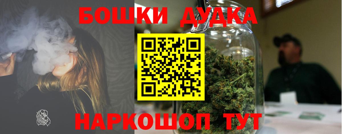 Канабис сатива Салехард
